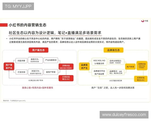 三亿体育如何打造专业化体育内容生态满足不同用户的多样化需求